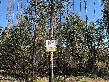 Terreno Agricola ou Rústico para Venda em Albergaria-A-Velha e Valmaior