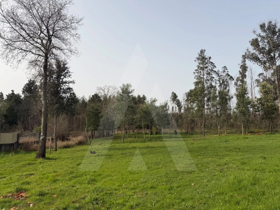 Terreno Agricola ou Rústico para Venda em Albergaria-A-Velha e Valmaior Foto 3