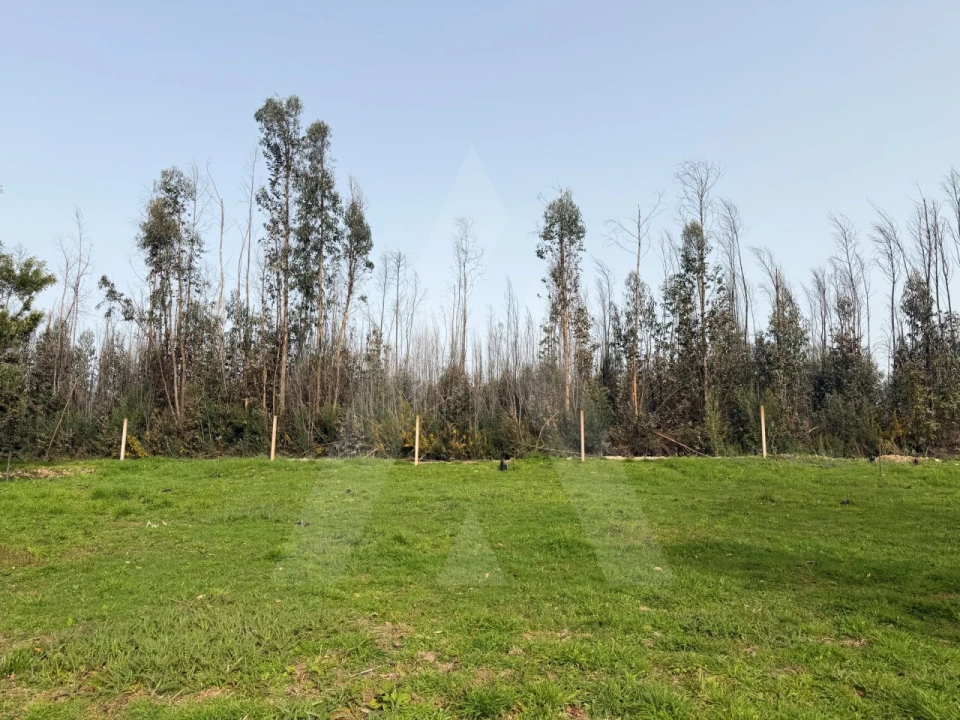 Terreno Agricola ou Rústico para Venda em Albergaria-A-Velha e Valmaior Foto 4