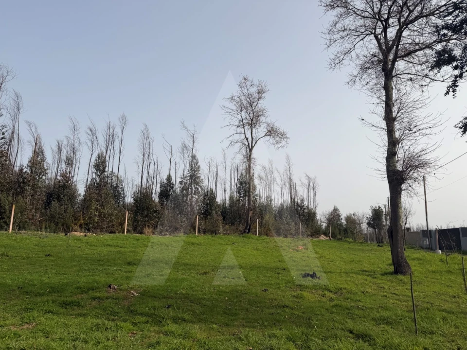 Terreno Agricola ou Rústico para Venda em Albergaria-A-Velha e Valmaior Foto 11