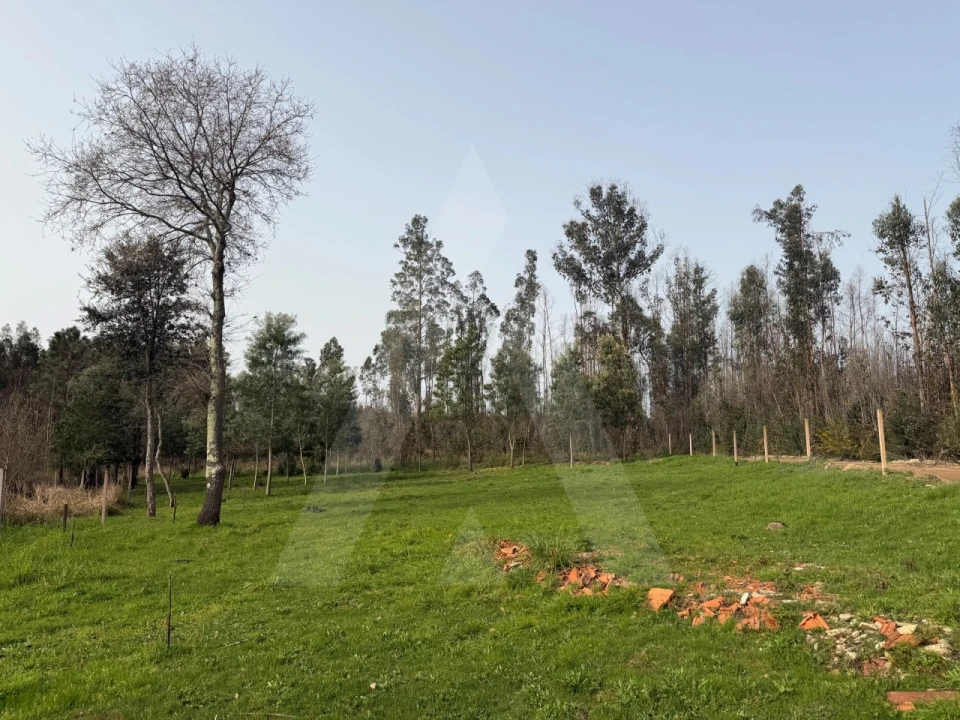 Terreno Agricola ou Rústico para Venda em Albergaria-A-Velha e Valmaior Foto 14