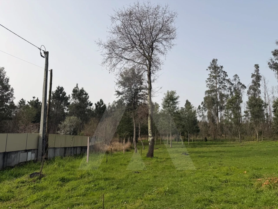 Terreno Agricola ou Rústico para Venda em Albergaria-A-Velha e Valmaior Foto 16