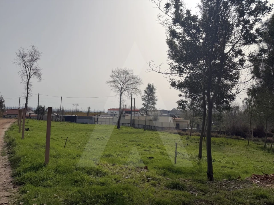 Terreno Agricola ou Rústico para Venda em Albergaria-A-Velha e Valmaior Foto 19