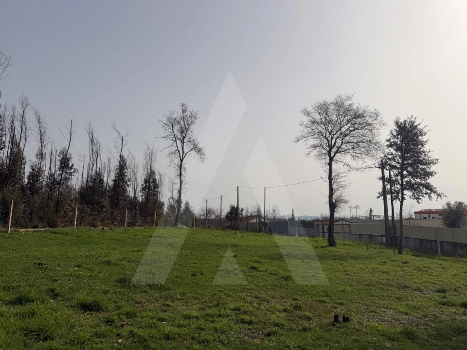 Terreno Agricola ou Rústico para Venda em Albergaria-A-Velha e Valmaior Foto 20