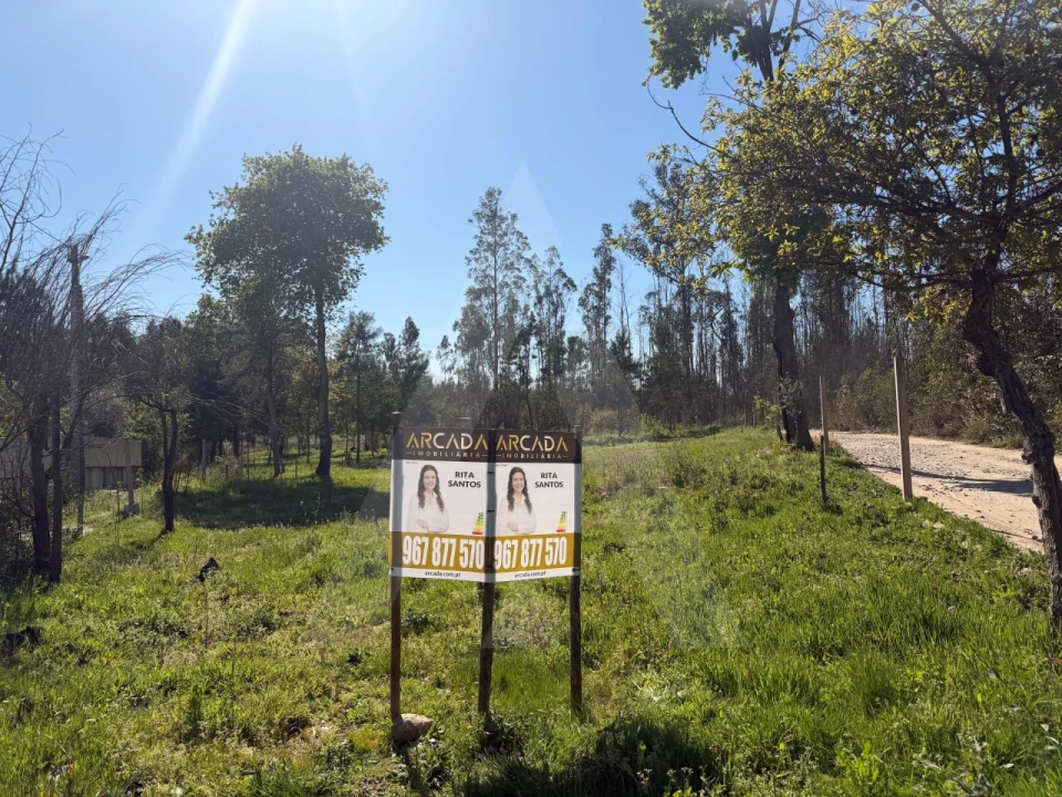 Terreno Agricola ou Rústico para Venda em Albergaria-A-Velha e Valmaior Foto 2