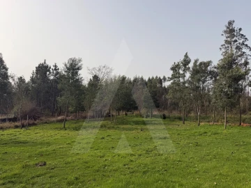 Terreno Agricola ou Rústico para Venda em Albergaria-A-Velha e Valmaior