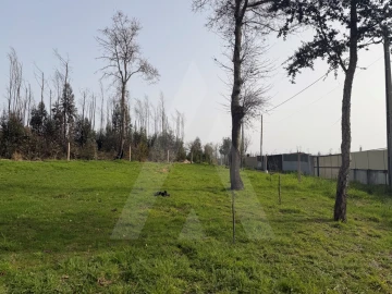 Terreno Agricola ou Rústico para Venda em Albergaria-A-Velha e Valmaior
