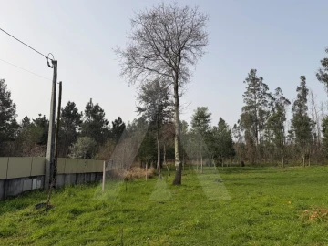 Terreno Agricola ou Rústico para Venda em Albergaria-A-Velha e Valmaior