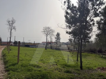 Terreno Agricola ou Rústico para Venda em Albergaria-A-Velha e Valmaior