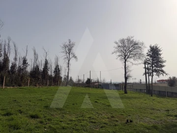 Terreno Agricola ou Rústico para Venda em Albergaria-A-Velha e Valmaior
