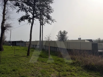 Terreno Agricola ou Rústico para Venda em Albergaria-A-Velha e Valmaior