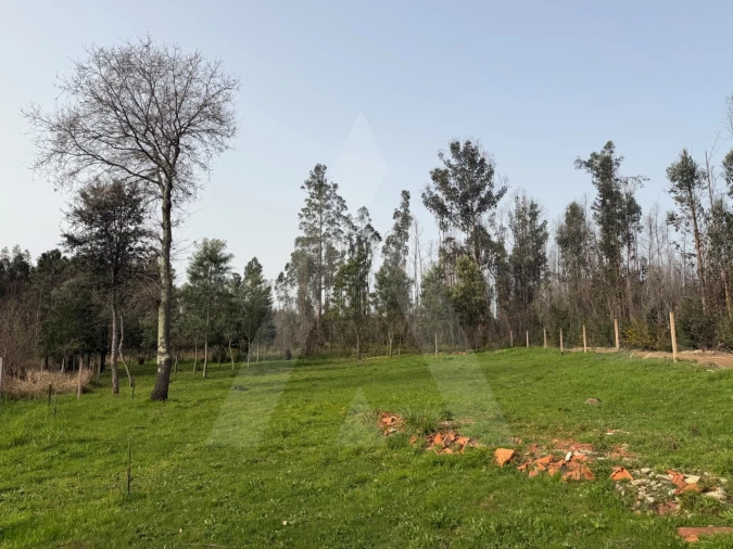 Terreno Agricola ou Rústico para Venda em Albergaria-A-Velha e Valmaior Foto 14