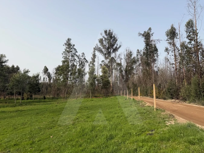 Terreno Agricola ou Rústico para Venda em Albergaria-A-Velha e Valmaior Foto 15