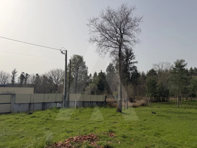 Terreno Agricola ou Rústico para Venda em Albergaria-A-Velha e Valmaior Foto 17