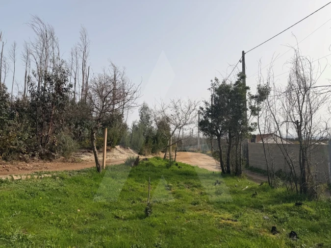 Terreno Agricola ou Rústico para Venda em Albergaria-A-Velha e Valmaior Foto 22