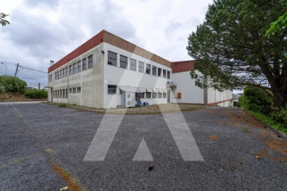 Armazém para Venda em Barcarena