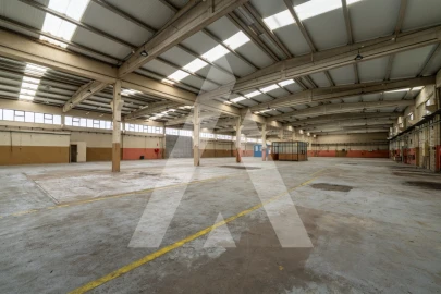 Armazém para Venda em Barcarena
