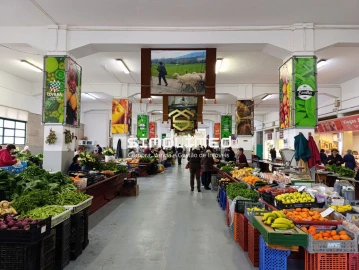 Quinta T0 para Venda em Orjais