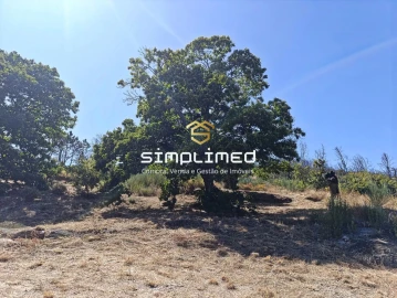 Quinta T0 para Venda em Orjais