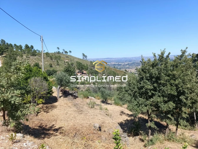 Quinta T0 para Venda em Orjais Foto 16