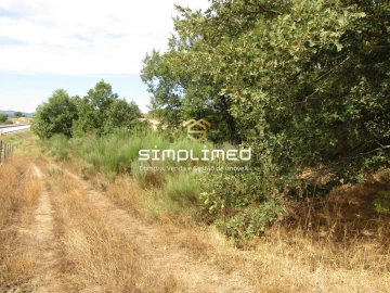 Quinta T0 para Venda em Peraboa