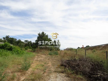 Quinta T0 para Venda em Peraboa