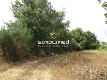 Quinta T0 para Venda em Peraboa