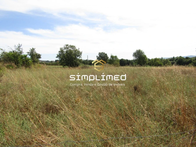 Quinta T0 para Venda em Peraboa Foto 12