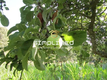 Quinta T0 para Venda em Ferro