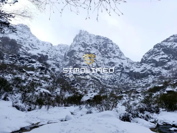 Quinta T0 para Venda em Ferro