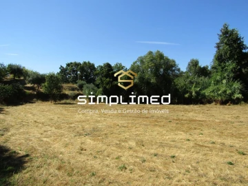 Quinta T0 para Venda em Ferro