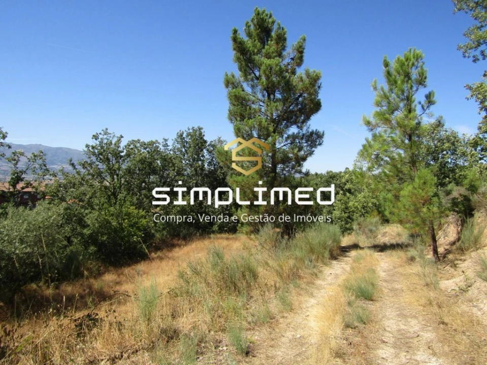 Quinta T0 para Venda em Ferro Foto 6