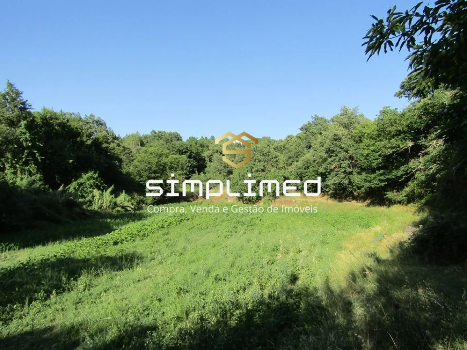 Quinta T0 para Venda em Ferro Foto 25