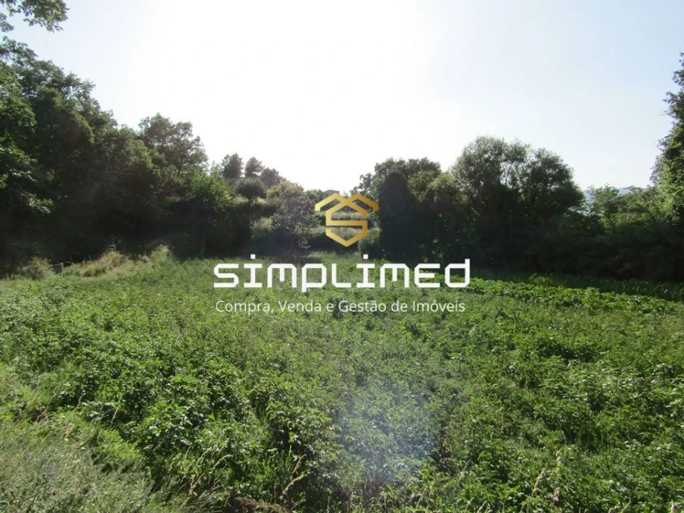 Quinta T0 para Venda em Ferro Foto 24