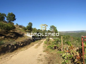 Terreno para Venda em Gonçalo Bocas