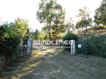 Terreno para Venda em Gonçalo Bocas