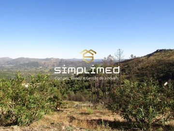 Terreno para Venda em Gonçalo Bocas