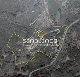 Terreno para Venda em Gonçalo Bocas