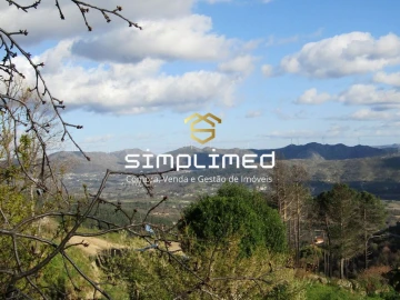 Terreno para Venda em Gonçalo Bocas