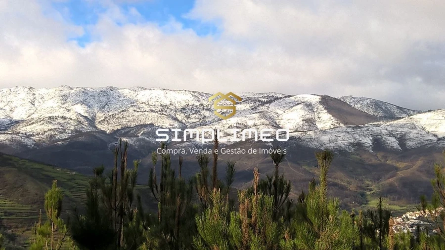 Terreno para Venda em Gonçalo Bocas Foto 34