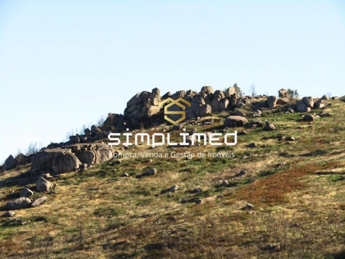 Terreno para Venda em Gonçalo Bocas Foto 25