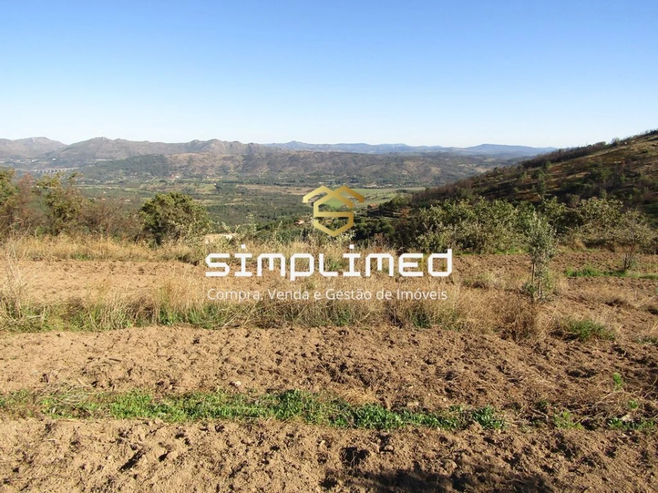 Terreno para Venda em Gonçalo Bocas Foto 9