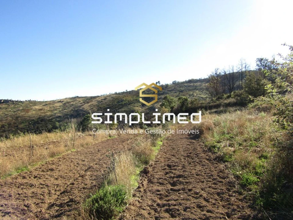 Terreno para Venda em Gonçalo Bocas Foto 20