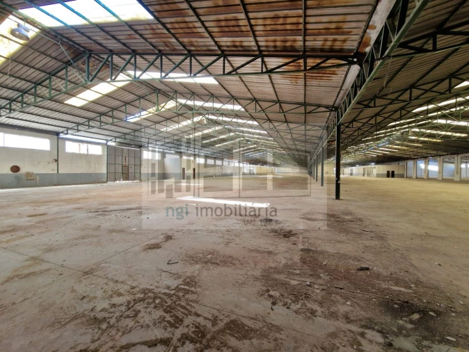 Loja para Venda em Torres Novas (Santa Maria, Salvador e Santiago) Foto 3