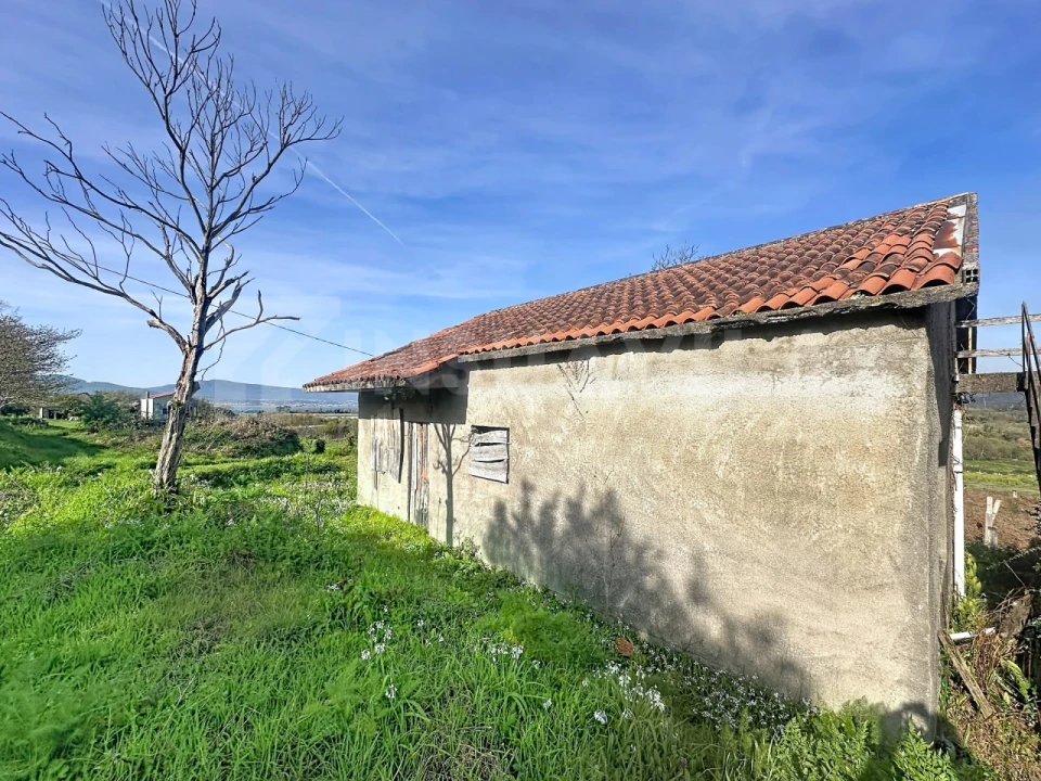 Moradia T4 para Venda em Caminha (Matriz) e Vilarelho Foto 4