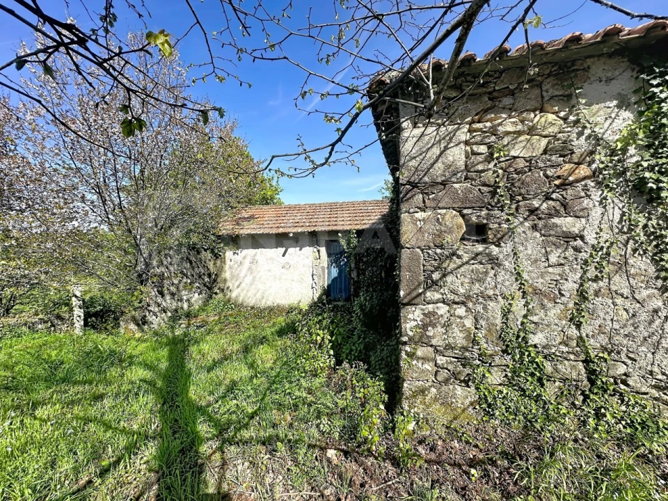 Moradia T3 para Venda em Venade e Azevedo Foto 4