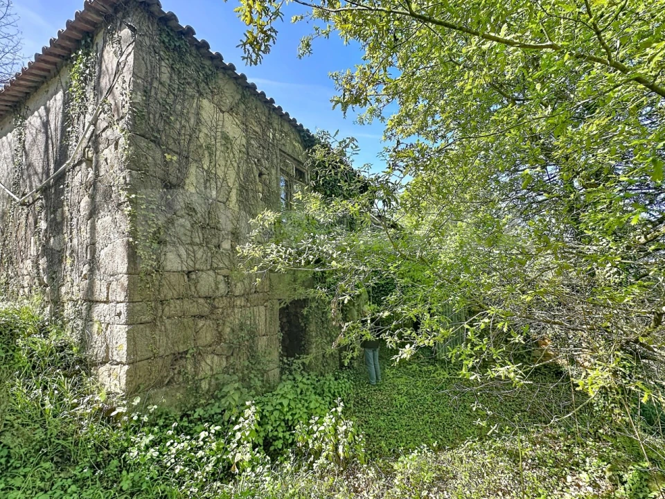 Moradia T3 para Venda em Venade e Azevedo Foto 7