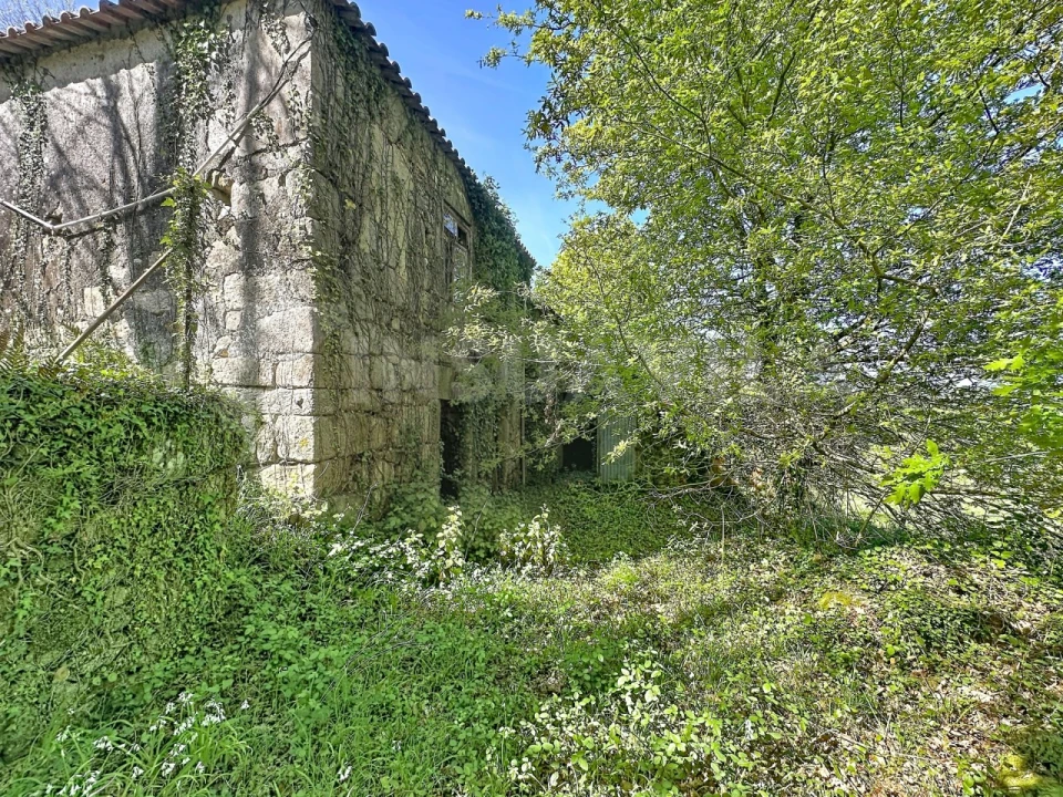 Moradia T3 para Venda em Venade e Azevedo Foto 6