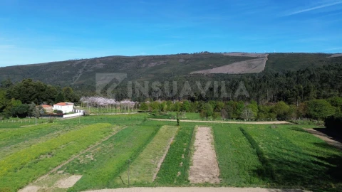 Moradia T3 para Venda em Venade e Azevedo