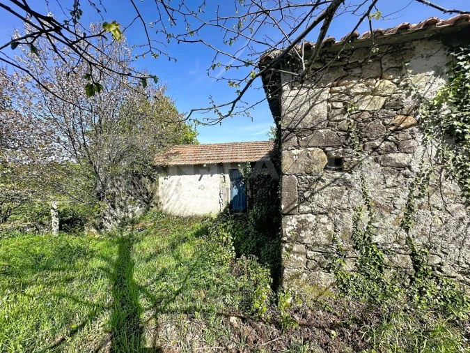 Moradia T3 para Venda em Venade e Azevedo Foto 4